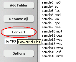 Click "Convert"